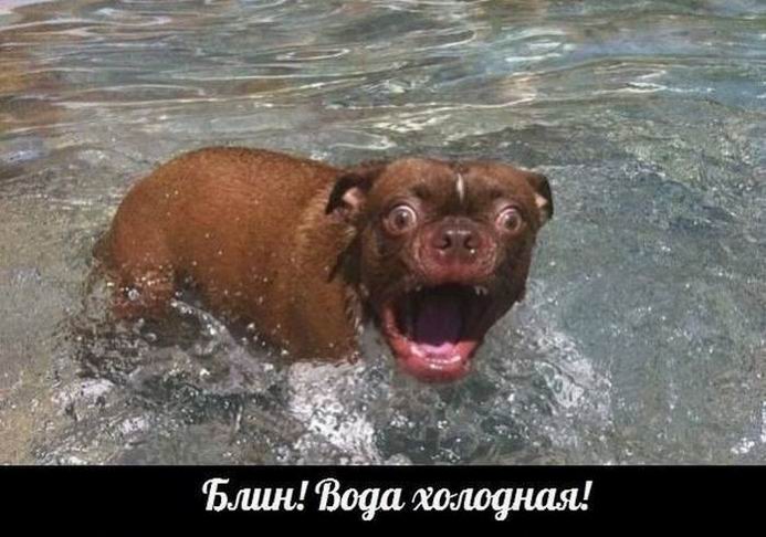 Вода холодная!