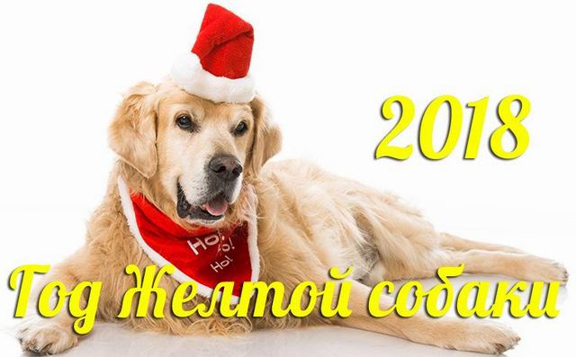   2018 