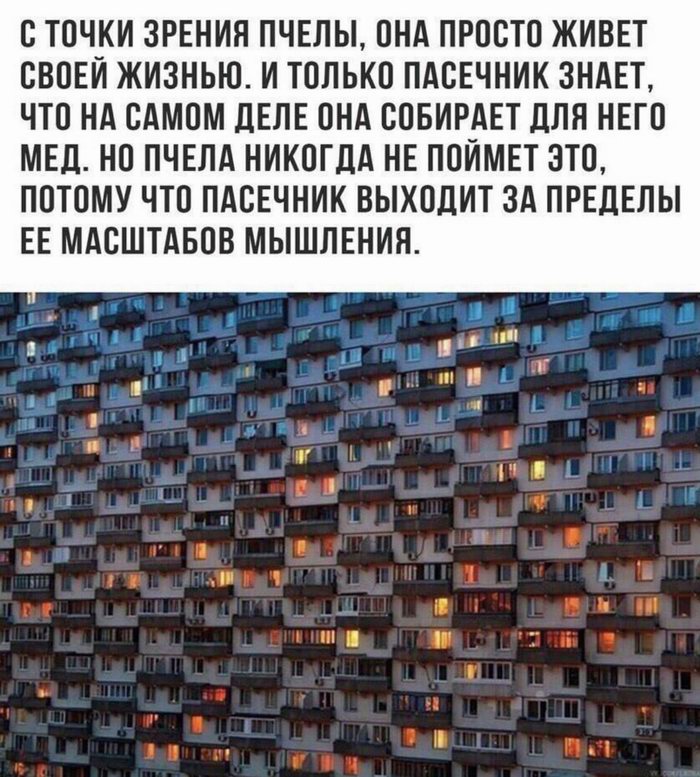 С точки зрения пчелы