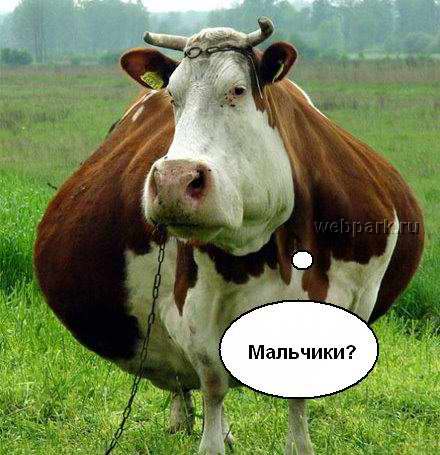 Однажды шеф собрал всех у себя в кабинете