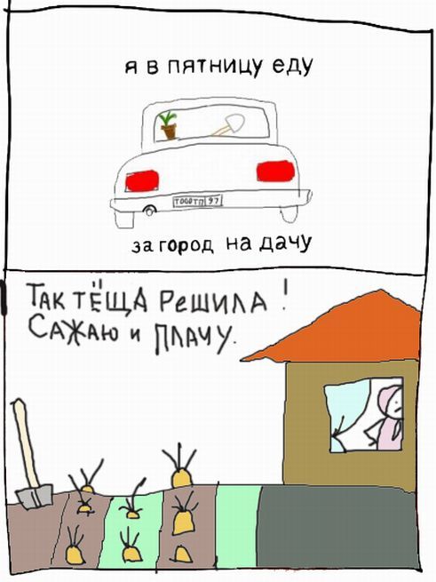  (7 )