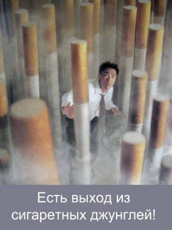 Сигаретные джунгли