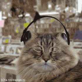 Танцующие коты
