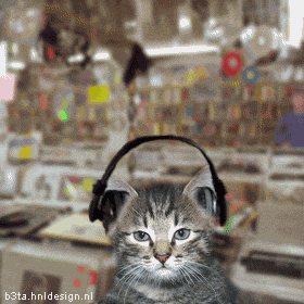 Танцующие коты