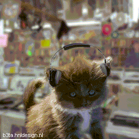 Танцующие коты