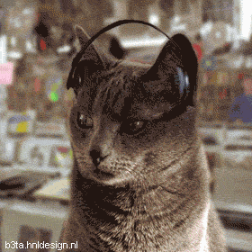Танцующие коты