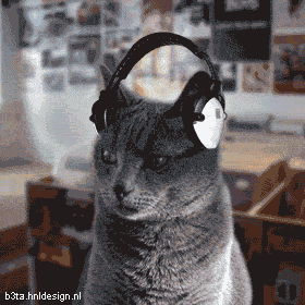 Танцующие коты