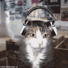 Танцующие коты