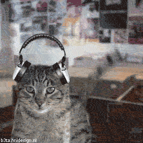 Танцующие коты