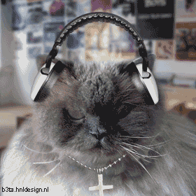 Танцующие коты