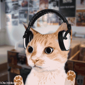 Танцующие коты