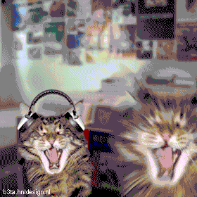 Танцующие коты