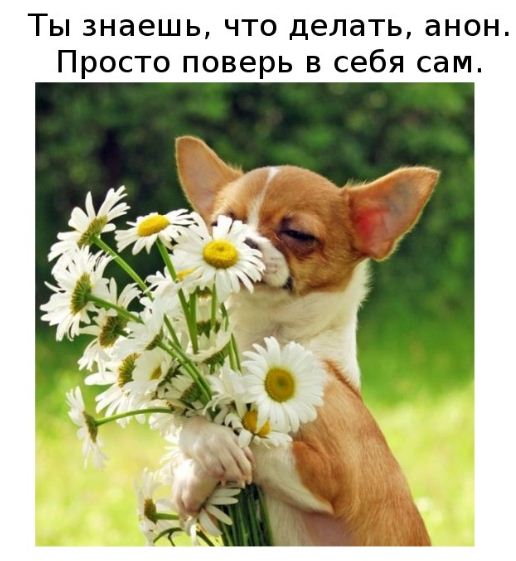     ! (28 )