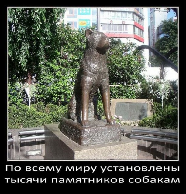 По всему миру