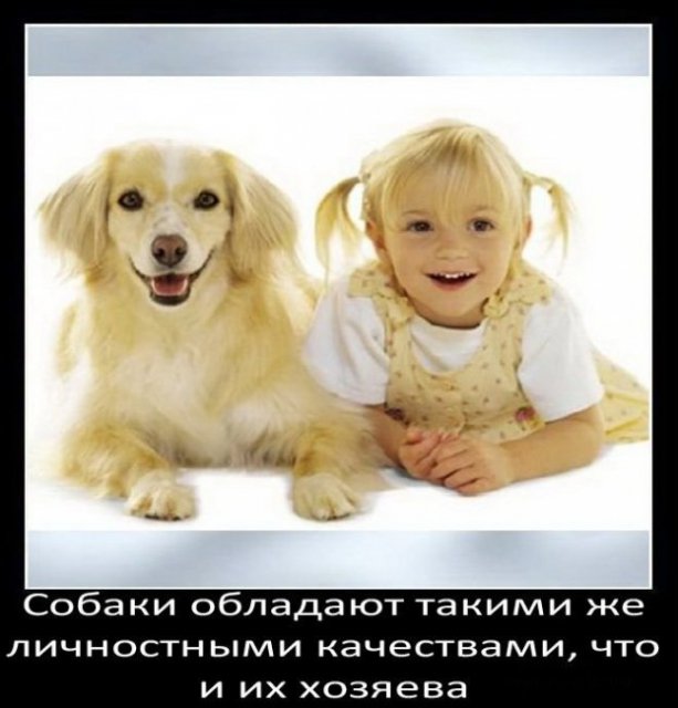 Собаки обладают качествами