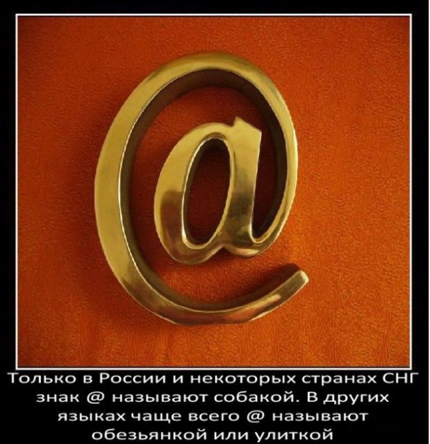 Только в России