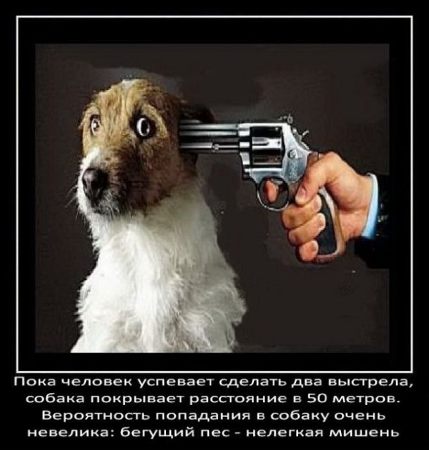 Пока человек делаеть два выстрела