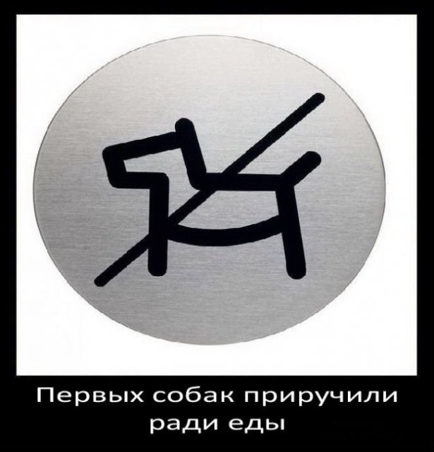 Первых собак приручили ради еды