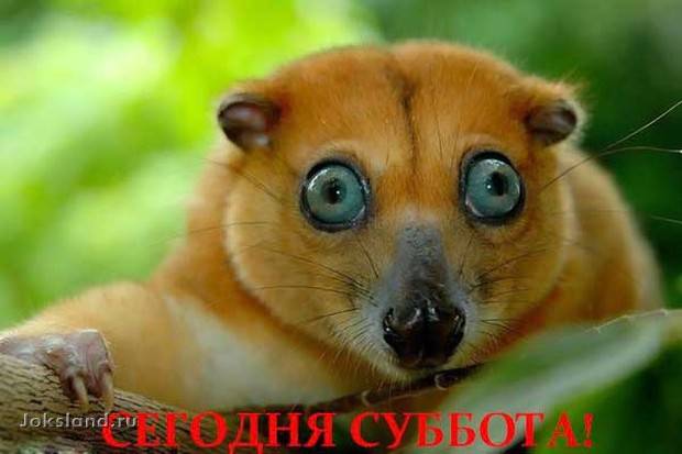 Для тех, кто работает в субботу