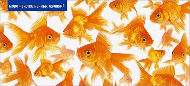 Мужик поймал Золотую Рыбку