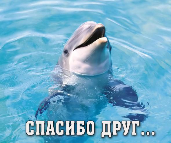 Цель в жизни