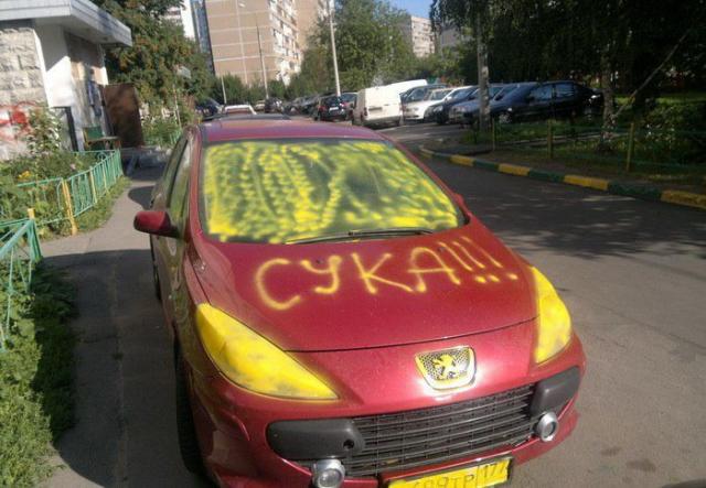 Был просто пыжик стал пыжик сука, таксиста