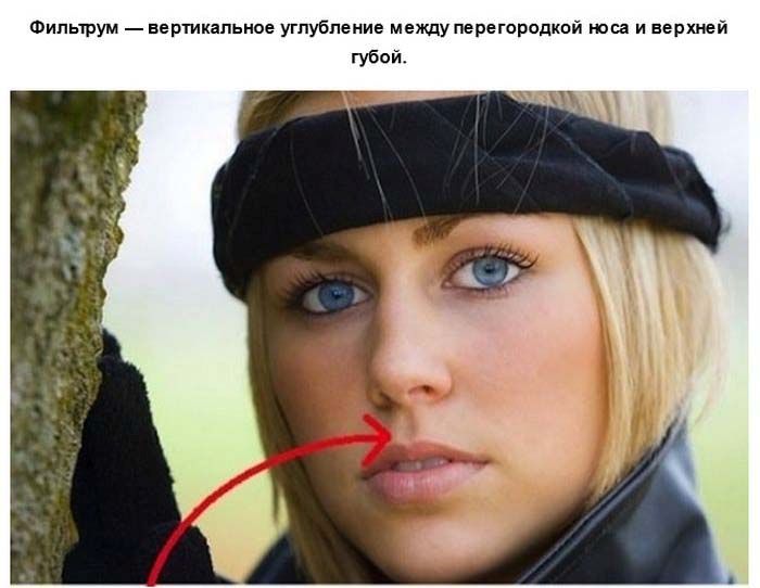 Что такое фильтрум