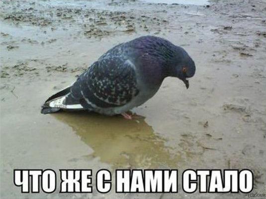 Это теперь я жирный и страшный