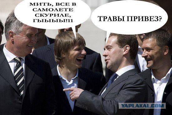 ФотоЖаба Медведев и Гус Хиддинк