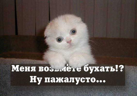 1 мая