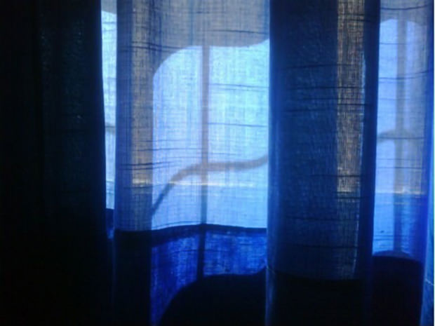 Micrisoft Windows