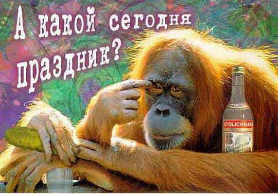 � ����� ������� ��������?