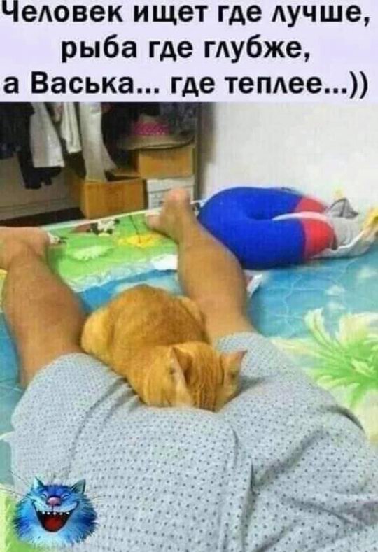 человек ищет где лучше