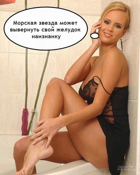     ... (10 )
