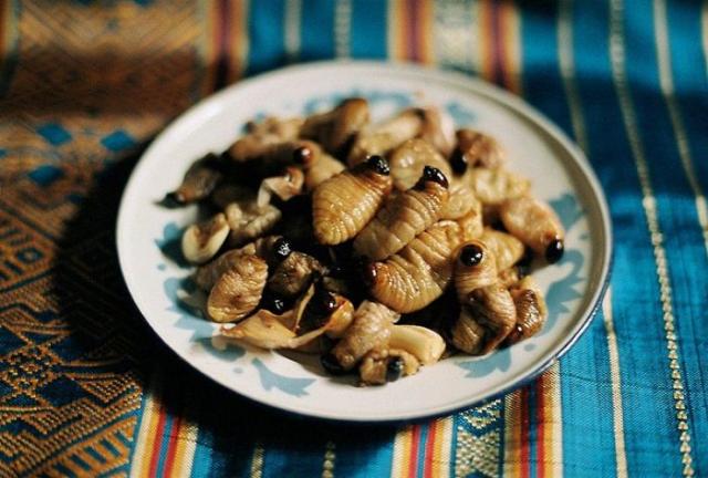 ��������� ����������