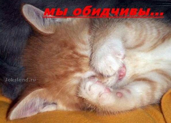   ... (17 )