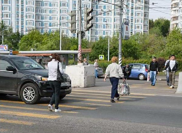 зебра москва