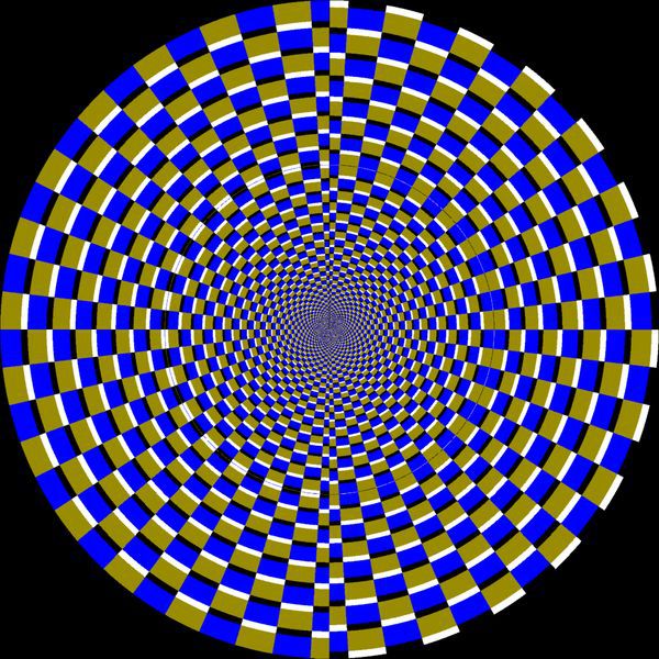    (12 )