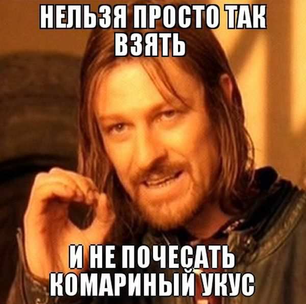   - (40 )