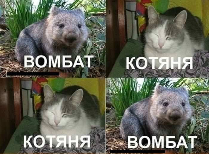   : ", , , !" (5 )