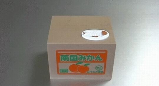 ,   ?