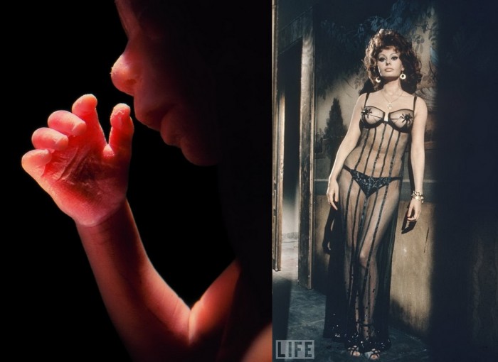    LIFE (23 )