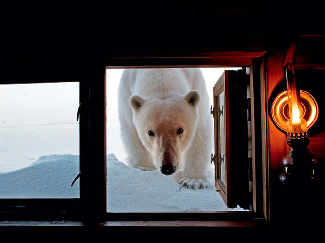   2012   National Geographic (45 )