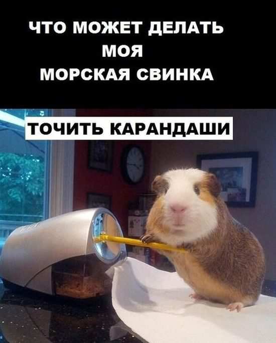   ,      (8 )