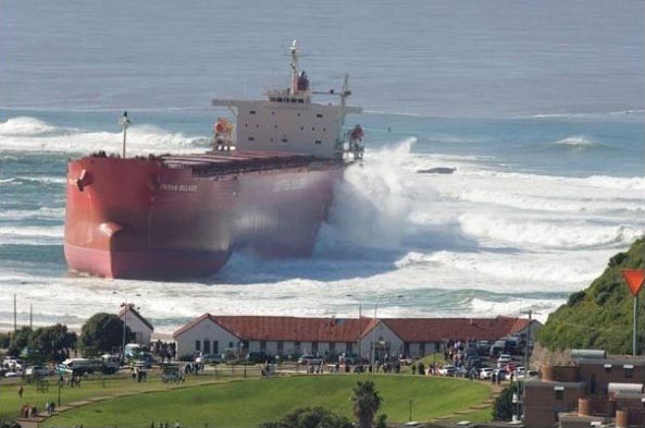  Pasha Bulker       