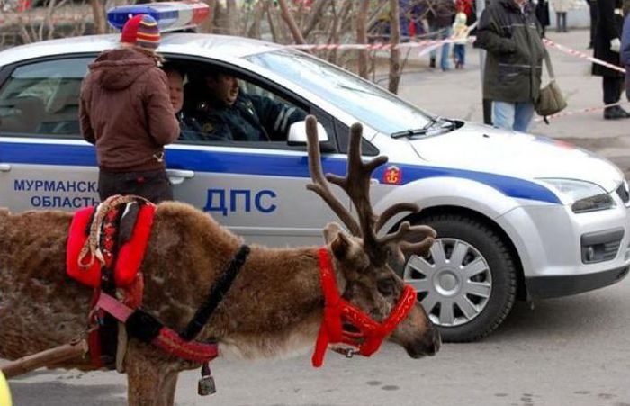 Нет такого автомобилиста