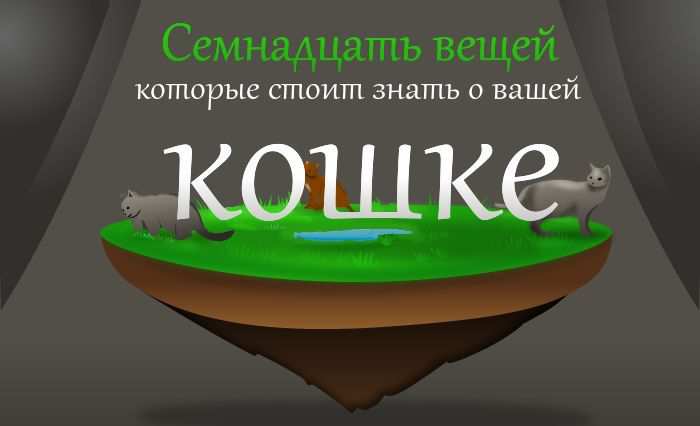 ,       (1 )