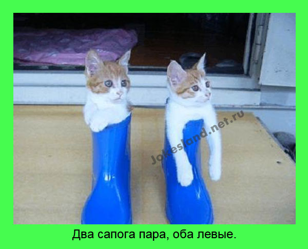 Два сапога пара