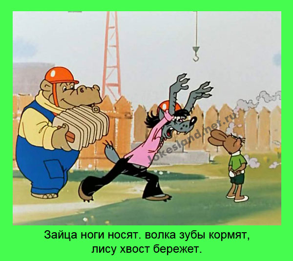 Зайца ноги носят