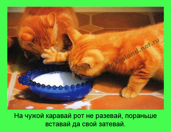 На чужой каравай